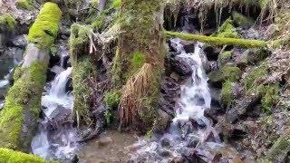 Wasserläufe im Harz - Teil 1