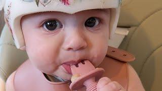 Baby Grace Tries Solid Foods 5, 6, 7 Months Old | Puree & Baby Led Weaning Hybrid Journey