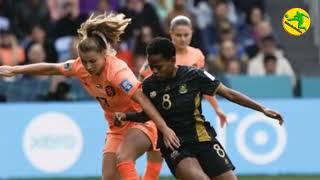 Netherlands vs. South Africa highlights: Dutch advance with 2-0 win