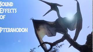 The Lost World: Jurassic Park - Pteranodon Sound Effects