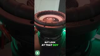THE BIGGEST 10 INCH SUBWOOFER I'VE EVER SEEN OR OWNED @ddaudiotv 9510ESP
