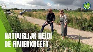 Natuurlijk Heidi: op zoek naar de rivierkreeft