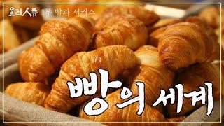 빵 때문에 파업도 했던 인류.. 최초의 빵을 찾아서｜요리인류 1부 FULL｜[다큐여행] KBS 20140326