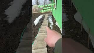 14 апреля 2025 г.