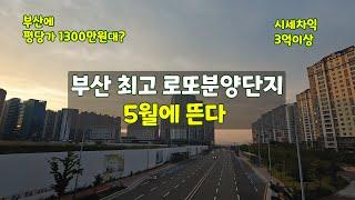 시세차익 3억 이상 부산 로또분양 에코델타시티 대장 아파트, 강서구 대장 아파트 분석