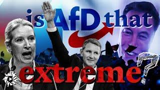 How the AfD attempts to whitewash fascism