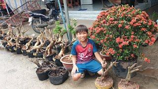 Giao lưu Trang, Hoa giấy, Sam trái và bông ngày 16/10 ️ 079.809.6577 Thanh LV