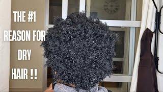 Do This To Fix DRY HAIR ‼️