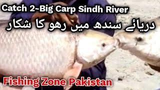 Rahu fish hunting in Indus river May 2023