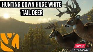 The Hunter Call Of The Wild HUGE WHITE TAIL HUNT!! LIVE!!!! #thehunter