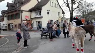 Gelterkinden Weihnachtsmarkt 2021(Sankt Nikolaustag)