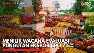 Menilik Wacana Evaluasi Pungutan Ekspor CPO 7,5% | IDX CHANNEL