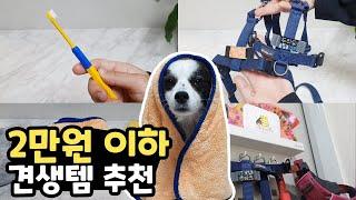 강아지 용품 리뷰어가 소개하는 2만원이하 강아지 용품 추천