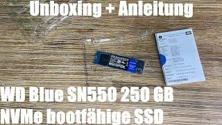 WD Blue SN550 250 GB NVMe bootfähige SSD, Gen3 x4 PCIe, M.2 2280, 3D NAND Unboxing und Anleitung