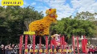 Lion Dance  | Acrobatic yellow Lion Dance Performance |  任兴狮王组合 狮子还是挺灵活的 差一点点灵魂 醒狮文化 非物质文化