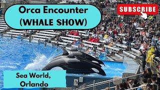 Orca Encounter (Killer Whale show) at SeaWorld, Orlando I TravelFreak Videos