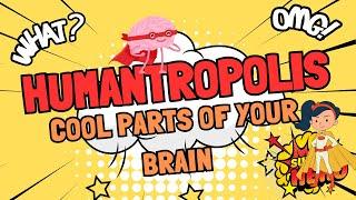 Brain Power: Exploring The Cool Parts of Your Brain! Humantropolis | Mighty Thinky 