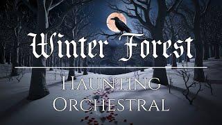 Winter Night Forest Walk ‍⬛ Haunting Orchestral Music ️ Winter Night Playlist