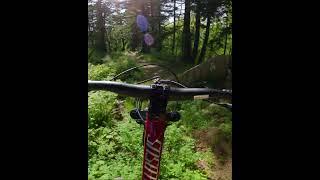 The 'budget' bike sends on a 35 foot gap!