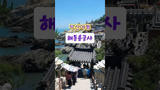 ️부산여행해동용궁사 해안절벽에 위치한 이국적인 풍경의 오션뷰 사찰
