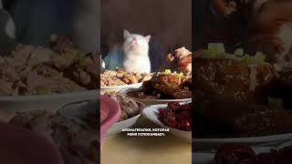Рецепт трайфла малина-лимон,15 пп-ужинов, рецепт кокосовых конфет — все уже ждёт вас в telegram️‍