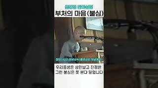 부처님의 마음 불심 #금강경 #반야심경 #청화스님
