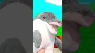 super flippers 64 #shorts