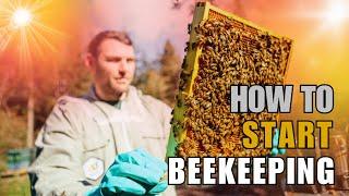 How To Start Beekeeping