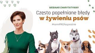 Często popełniane błędy w żywieniu psów - Dr Karolina Hołda