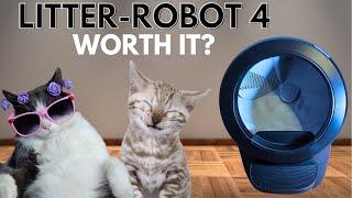 Litter-Robot 4: Is It Worth Buying?