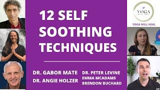 12 Self Soothing and Self Regulation Techniques for Trauma, Stress and Anxiety, intro Dr GABOR Mate
