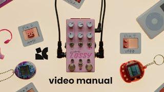 Lossy - Video manual