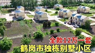 鹤岗市独栋别墅小区，全款12万一套，距离黑龙江5公里！【鬼头看房】