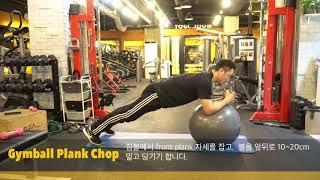 코어 및 어깨 보강 운동을 위한  ball plank chop