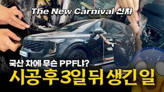 소중한 내 차...당신에게도 일어날 수 있습니다 | 전체 PPF하고 갔다가 3일만에 다시 온 이유 | The New Carnival Full PPF 시공 꿀팁