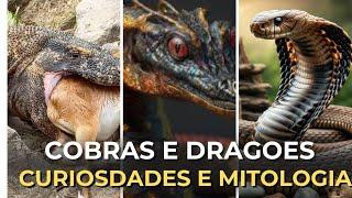 Mitologia - COBRAS E DRAGÃO DE KOMODO