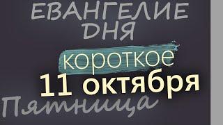 11 октября, Пятница. Евангелие дня 2024 короткое!