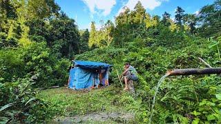 Solo Bushcaft: House repair helps an old man living alone in the forest plan to build a new house.