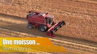 Une moisson bien moyenne...