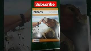 Nitrox Injection ( Nitroxynil) for Animals #short #vet #medicine #veterinary #vetinfo #shortvideo