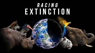 The 5 Major Extinctions Of This Planet - Racing Extinction