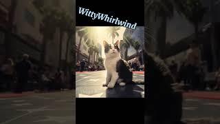 WittyWhirlwind#foryou#viral#video#pleasesubscribe#foryou