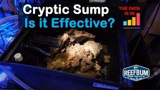 Cryptic Sump - The Data is In. Is it Effective?