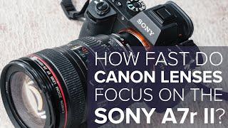 Here's How Fast Canon Lenses Focus On the Sony A7r Mark II