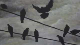Bird on a wire (remix) - Joey alford