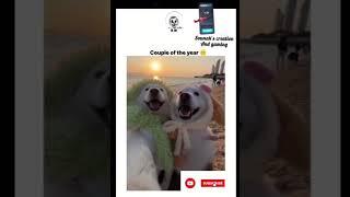 DOG EDITZ#dogloversdog