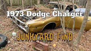 1973 Dodge Charger junkyard find