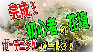 【ガーデニング】花壇作り植物の選び方などの説明つき#StayHomeandgardening #WithMe