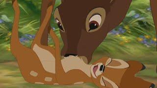 Bambi and the Great Prince Scene - Bambi 2 HD