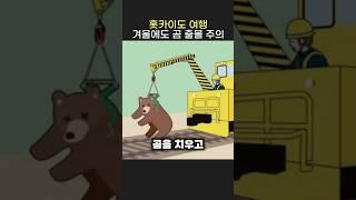 겨울에도 안심할 수 없는 홋카이도 곰 출몰